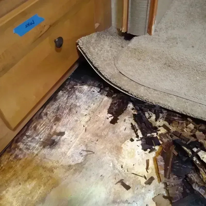 Best Wood Floor Water Damage Service in Huntsville, TX